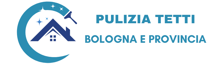 Pulizia Tetti Bologna