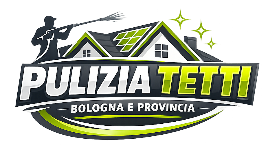 Pulizia Tetti Bologna